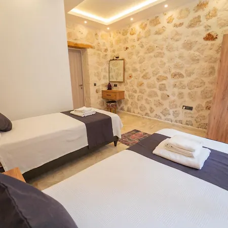 Villa Merkezde Oezel Havuzlu Tas Kaş