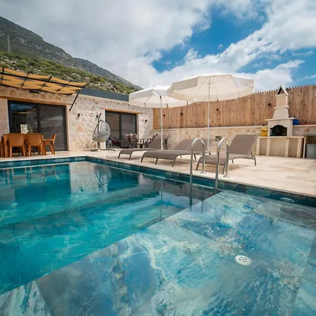 Villa Merkezde Oezel Havuzlu Tas Kaş